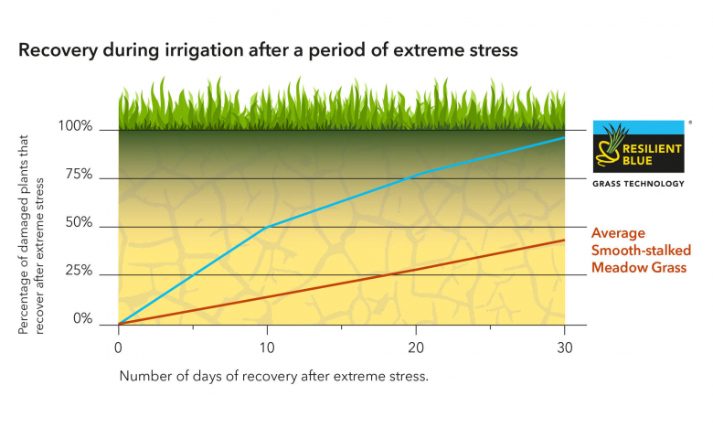 graph-rb-after-stress-eng-2024.jpg.jfif